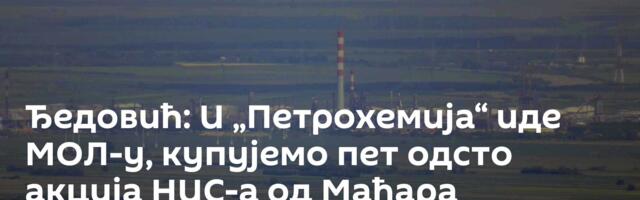 Ђедовић: И „Петрохемија“ иде МОЛ-у, купујемо пет одсто акција НИС-а од Мађара