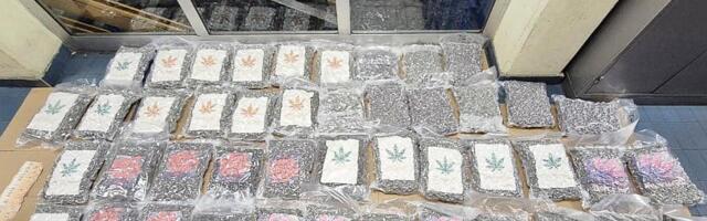 Novosadska policija u kamionu našla 50 kila marihuane