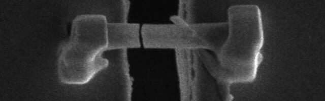 Zašto litijum-jonske baterije propadaju? Naučnici pronašli odgovore u mikroskopskom „trnju“