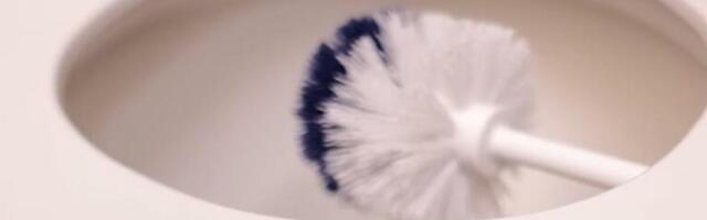 ODMAH JE BACITE AKO JE OVAKVA! Zašto i kako često treba čistiti četku za WC šolju? NEMA NIŠTA GORE, uzmite samo OVO