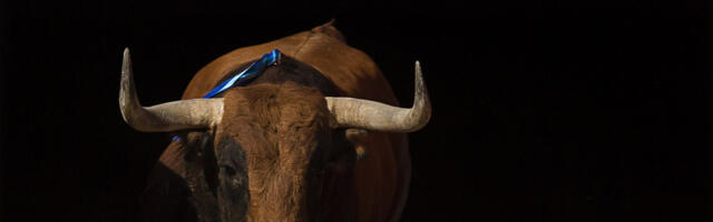 Bik zadao ozbiljnu povredu poznatom matadoru na NEZGODNOM MESTU: Drama u Sevilji, snimak obišao internet