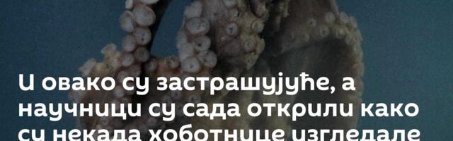 И овако су застрашујуће, а научници су сада открили како су некада хоботнице изгледале