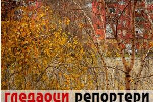 Гледаоци репортери (8. децембар 2022)