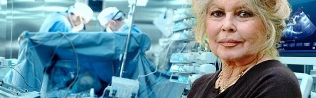 POZNATO STANJE BRIŽIT BARDO!