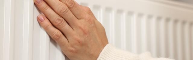 "Probala sam jednostavan trik s mreža od 300 dinara – moj dom je osetno topliji, a računi manji (VIDEO)