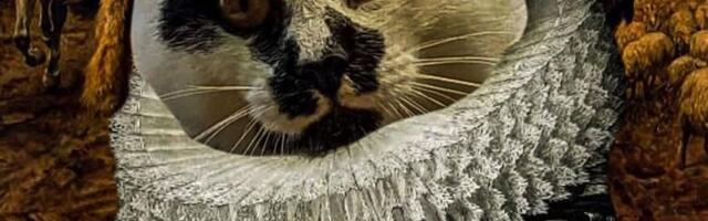 Izložba “NEOBIČNA KOLEKCIJA: Izbor dela iz kolekcije Ljudmile Stratimirović” u Salonu Oto Bihalji-Merin