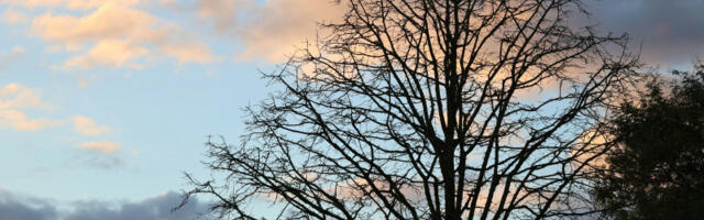 Uživajte i danas u pravim prolećnim temperaturama: Očekuje nas do 19 stepeni