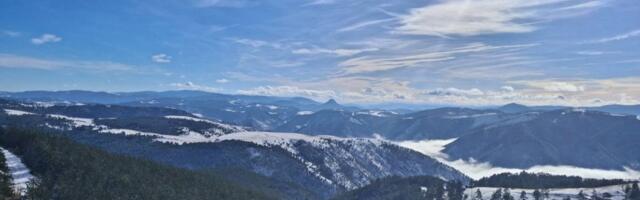 Iz snega procvetali ljubičasti cvetovi! Ovako su sa padina Zlatibora pozdravili dolazak proleća (FOTO)