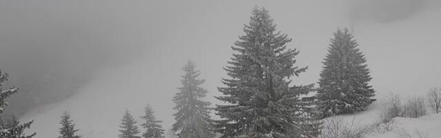 Kao da je decembar: Srpska planina okovana snegom, spustila se magla, NE VIDI SE PRST PRED OKOM