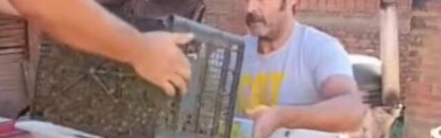 NEKAD NAJJAČI FRAJER BEOGRADA, A SAD PRAVI SELJAK! Glumac napustio grad i pokazao ŠTA SVE MOŽE, SVAKA ČAST MAJSTORE