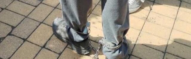 Sud u Strazburu razmatra slučaj studenta Bogdana: Koliko brzo može reagovati i šta može naložiti?