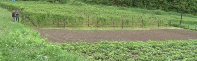 Porast cena proizvoda u poljoprivredi i ribarstvu u septembru