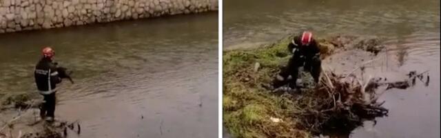 Najlepši snimak koji ćete danas videti: Vatrogasac utrčao u reku Moravicu da spasi psa koji je bežao od bujice
