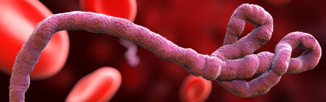 Šta je ebola: Simptomi, prenošenje i zašto svet strahuje od nove epidemije
