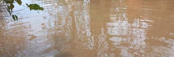 Čitaoci javljaju: Šarlinski potok redovno plavi dvorišta i kuće u selu Međa, žalili se nadležnima ali niko ne reaguje