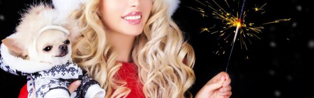 Psi pamte vatromet i zvuk petardi: Pripremite ljubimcu siguran kutak uoči predstojeće praznične buke