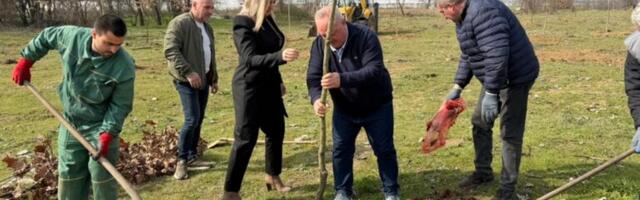Za nove sadnice u Maloj Biljanici 1,5 milion dinara iz budžeta Leskovca