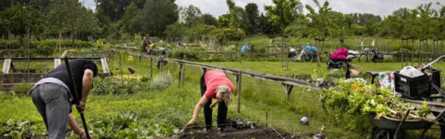 Отворен конкурс за суфинансирање у области органске производње