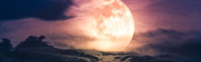 Dnevni horoskop za utorak 14. april: Blizanci napreduju na poslu, Jarčevima komplikacije u ljubavi