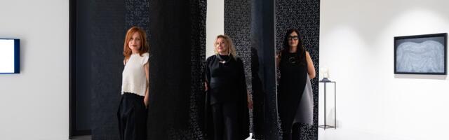 U Galeriji DOTS otvorena izložba Vesne Perunović