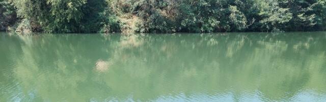Suzbijanje larvi komaraca u sredu u Vlasotincu