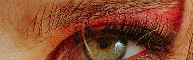 Kako da snimite bolje fotografije uz HONOR Magic5 Pro