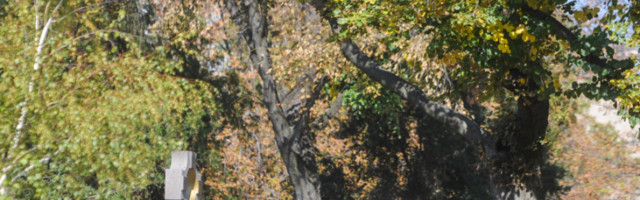 "Majka mi je govorila: kada izađeš sa dečkom u Beogradu, ne govori mu koji problem imaš. Prekršila sam to obećanje, rekla sam mu!