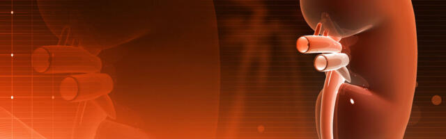 UROLOG TVRDI DA OVA NAMIRNICA IZAZIVA KAMEN U BUBREGU! Počinje sa jakim bolom u leđima, pa se proširi na...