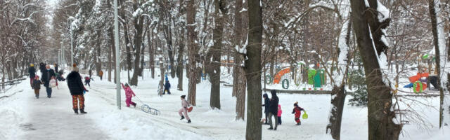 Obilne snežne padavine u narednih 48 sati, crveni meteo-alarm u Zapadnoj Srbiji
