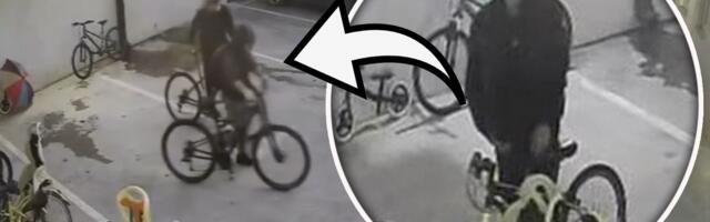 Snimljeni lopovi na Petrovaradinu, čovek očajan: Pogledajte kako kradu dva bicikla iz dvorišta!