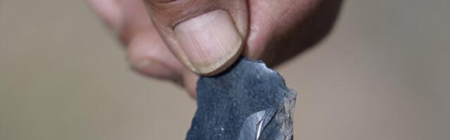 Simonović: U Evropi rastu potrebe za litijumom - razvojna šansa za Srbiju