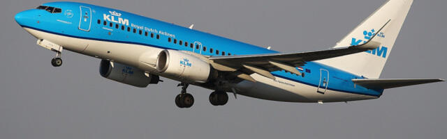 Avion koji je leteo za Beograd bio je pun stenica: Porodica iz Amerike podigla tužbu protiv dve avio-kompanije