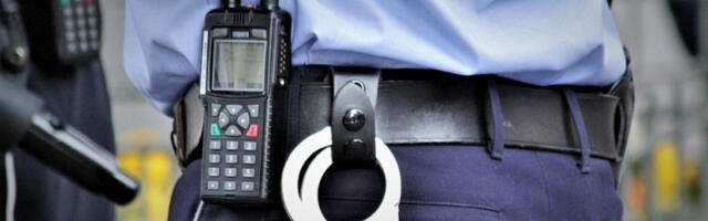 Ухапшен осумњичени за злостављање, мучење, крађу и тешку крађу