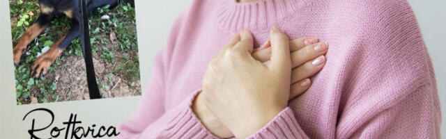 POSTANITE SUPERHEROJ: Pomozite da nađemo dom za namučenu Rotkvicu