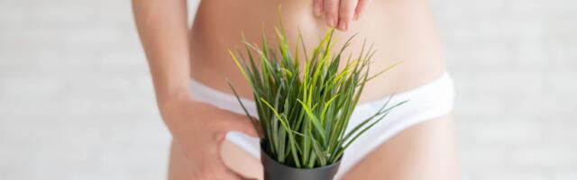 Šta treba da znate o depilaciji intimne zone