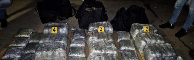 Novosadski inspektori zaplenili 80 kilograma marihuane u Beogradu