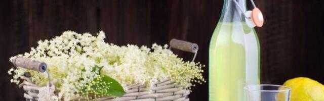 Šokata sirup od zove, limuna i narandže: Najbolji domaći napitak za osveženje i vitamine