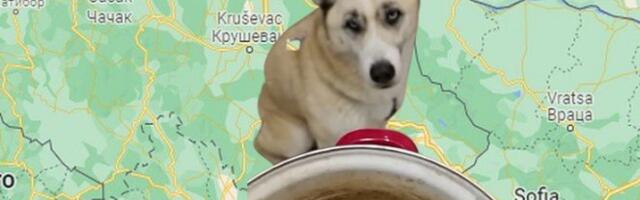 ČAK I HASKI ZNA DA JE KOSOVO SVETA SRPSKA ZEMLJA! Amerikanac naučio psa ono što SVAKI SRBIN ZNA! (VIDEO)