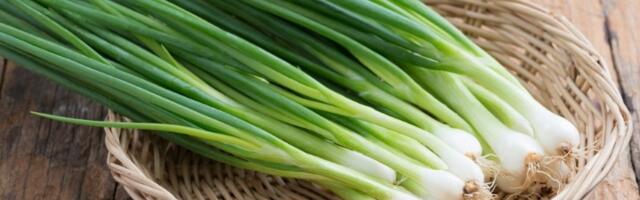 Genijaln TRIK uz pomoć kojeg će mladi luk biti svež čak dve nedelje