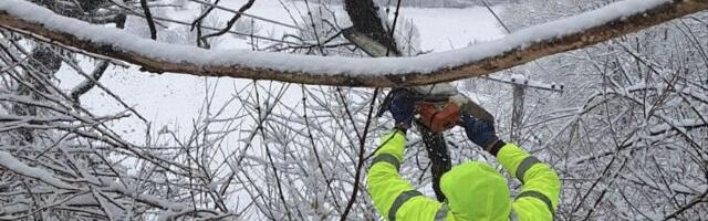 Sneg ponovo napravio probleme, Mesarović: Više okruga u Srbiji bez urednog snabdevanja strujom