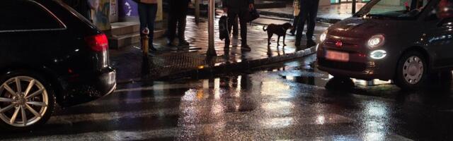 POSLE SVAĐE IZBO VOZAČA AUTOBUSA, PA NAPRAVIO KARAMBOL! Potraga za vozačem, jezivi detalji užasa u Braće Jerković: "Sitroenom" ODBACIO automobil na stajalište!