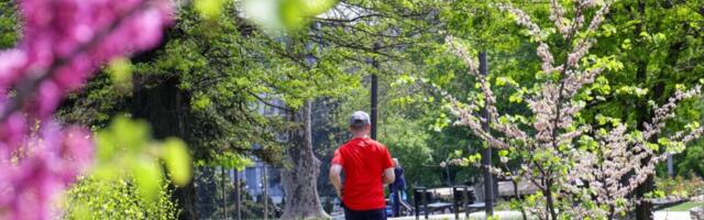 Vremenska prognoza: Hladno jutro, sunčan dan, a evo kad nam stiže kiša