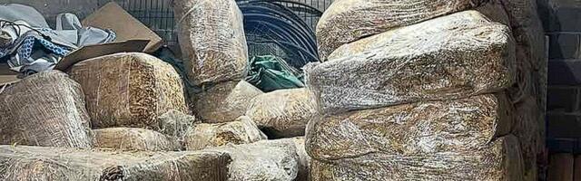 Više od tone duvana zaplenjeno na Fruškoj gori, manja količina na novosadskoj pijaci