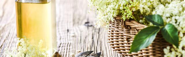 #ElderflowerVibes: Bakin sok od zove postaje wellness trend sezone