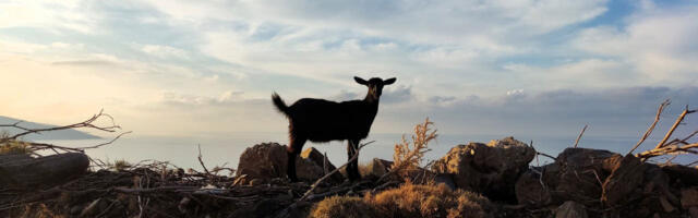 Grčka vlada smanjuje PDV za 30% na 19 ostrva