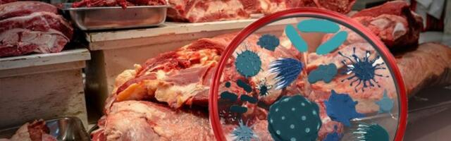 OVO SU PRVI SIMPTOMI TRHINELOZE! Prvi slučajevi potvrđeni u Srbiji, a EVO i do kojih komplikacija može doći!