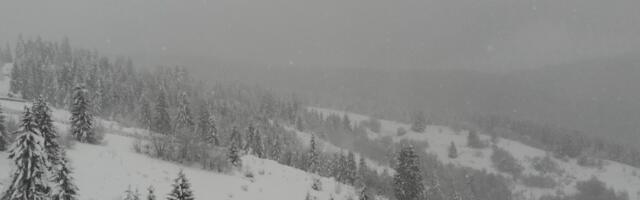 Apokalipsa na srpskoj planini: Ovakve scene su za pamćenje (VIDEO)