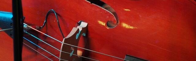 Koncert dua Hojsak & Novosel u SKCNS-u u petak