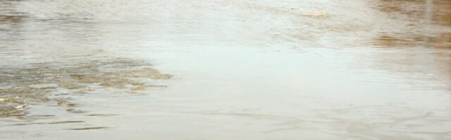 NESTALA OSOBA U VELIKOJ MORAVI: Vatrogasci izašli na teren, ali bezuspešno