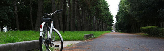 Утрехт проглашен најбољим градом за бициклисте на свету